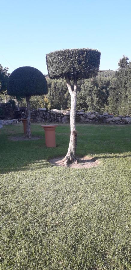 Vivenda Agostinho Villa Arcos de Valdevez Luaran gambar